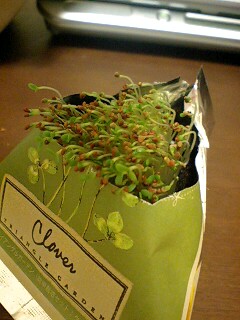 080430_1658~0001.jpg